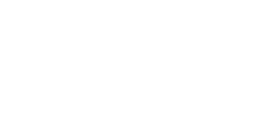 Argentina llena de energía